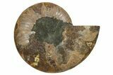 Cut & Polished Ammonite Fossil (Half) - Madagascar #347496-1